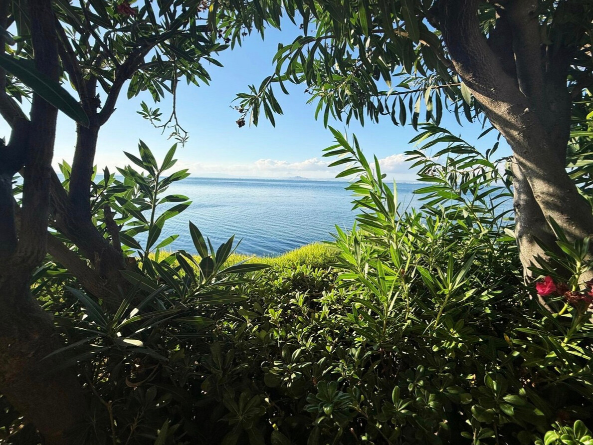 0a4ad22f-b46d-4494-8fcc-4a1152b2ac18