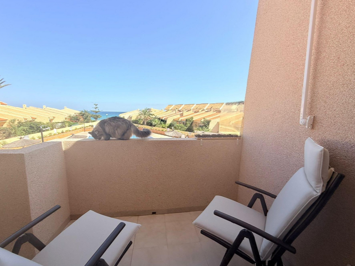 658c9308-1281-4794-8748-9ff79a504b6f